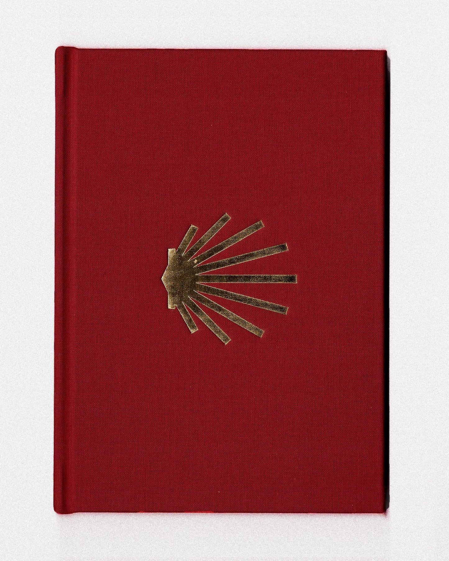 THE BOOK OF ABUNDANCE; a poetâs pilgrimage on the Camino InglĂ©s ~ by Christ Bryan
